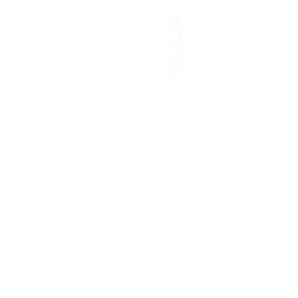 Vivo X100