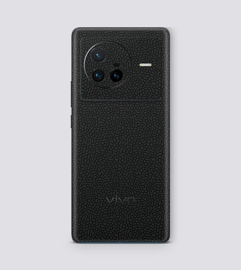 Vivo X80
