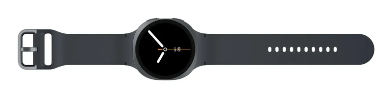 Samsung Galaxy Watch8 SM-L335FDAAXEF, 3,81 cm (1.5"), AMOLED, 32 GB, WLAN, GPS, 34 g