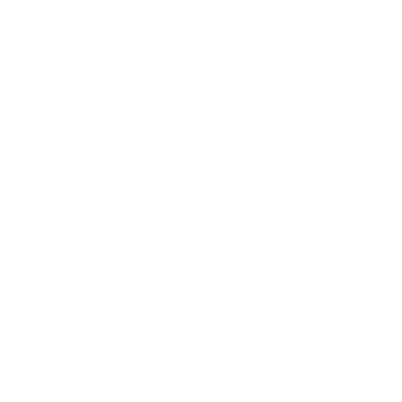 Samsung Galaxy S10 E