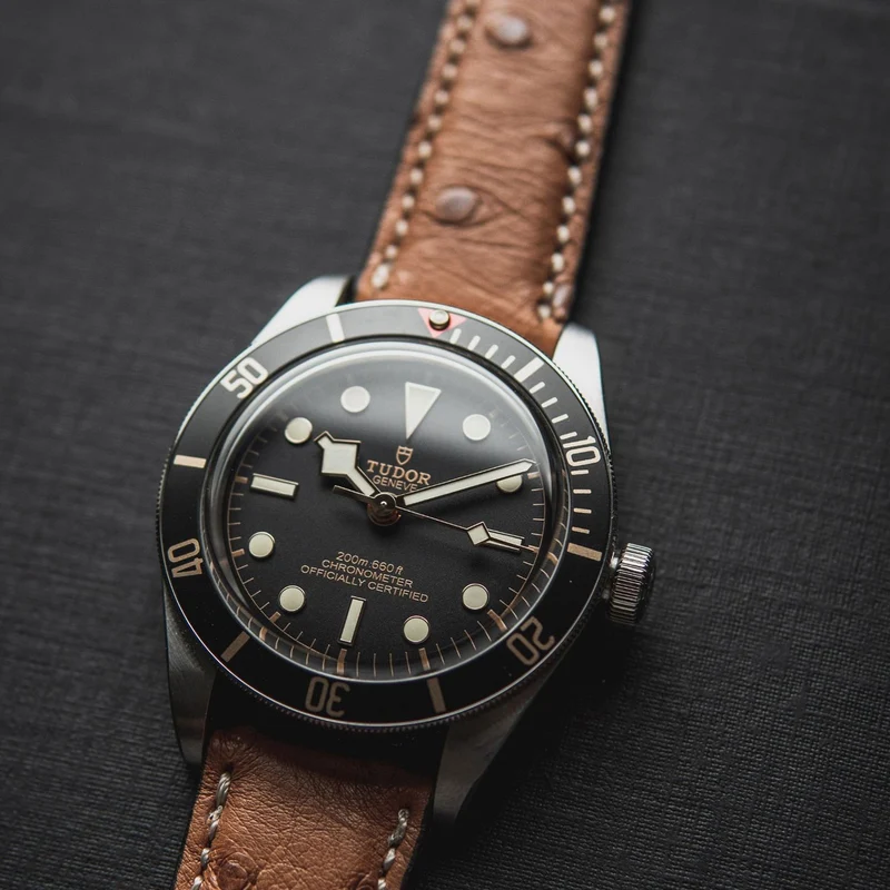 Tudor Black Bay 41 kompatibles Uhrenarmband 22 mm "OBERKASSEL" (Straußenleder) – silberne Schließe