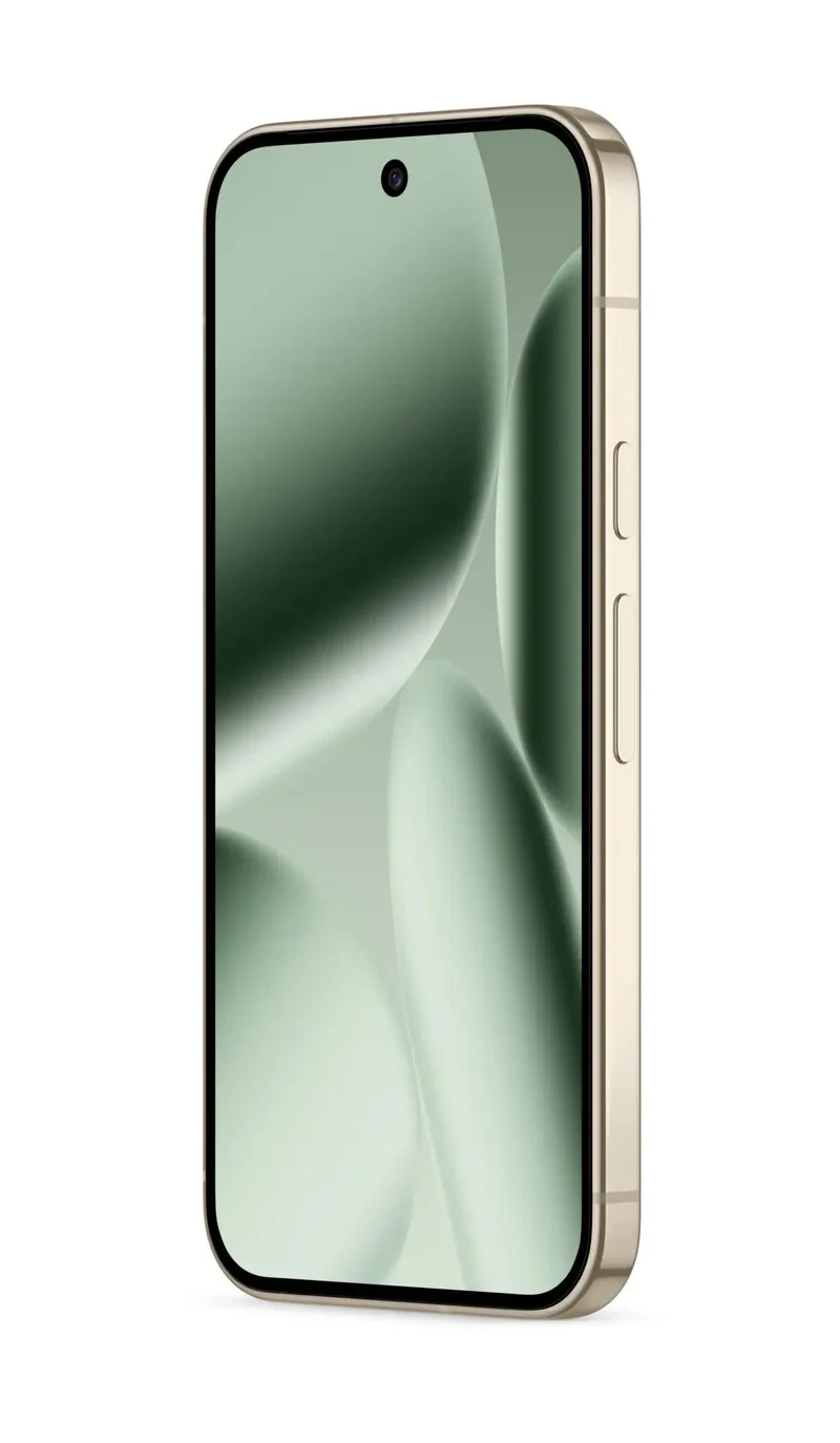 Google Pixel 10 Pro, 16 GB, 256 GB, Grün