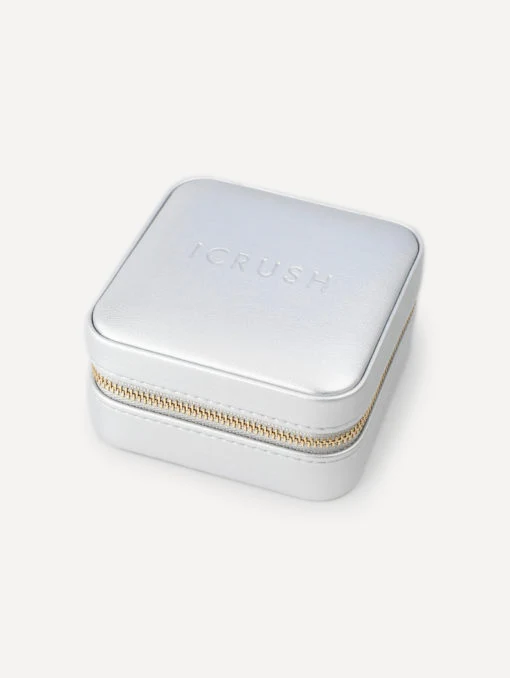 ICRUSH Travel Case Silver