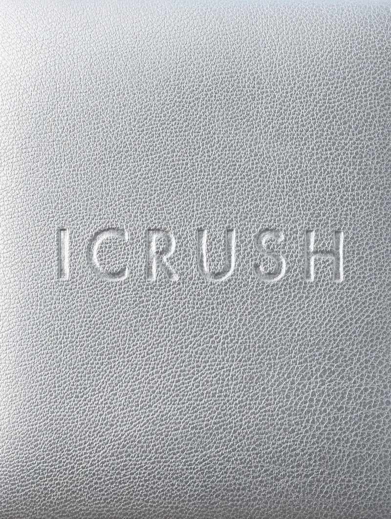 ICRUSH Travel Case Silver