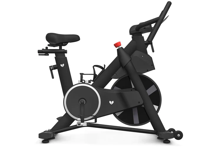 Lifespan Fitness SM-420 Spin Bike with Magnetic Resistance