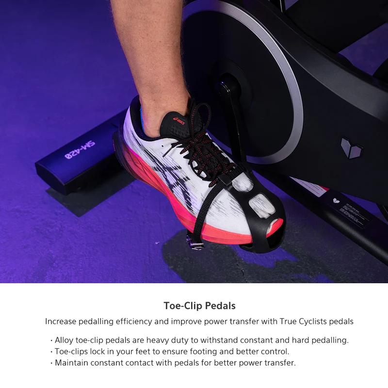 Lifespan Fitness SM-420 Spin Bike with Magnetic Resistance